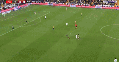 阿拉尼亚体 阿拉尼亚体