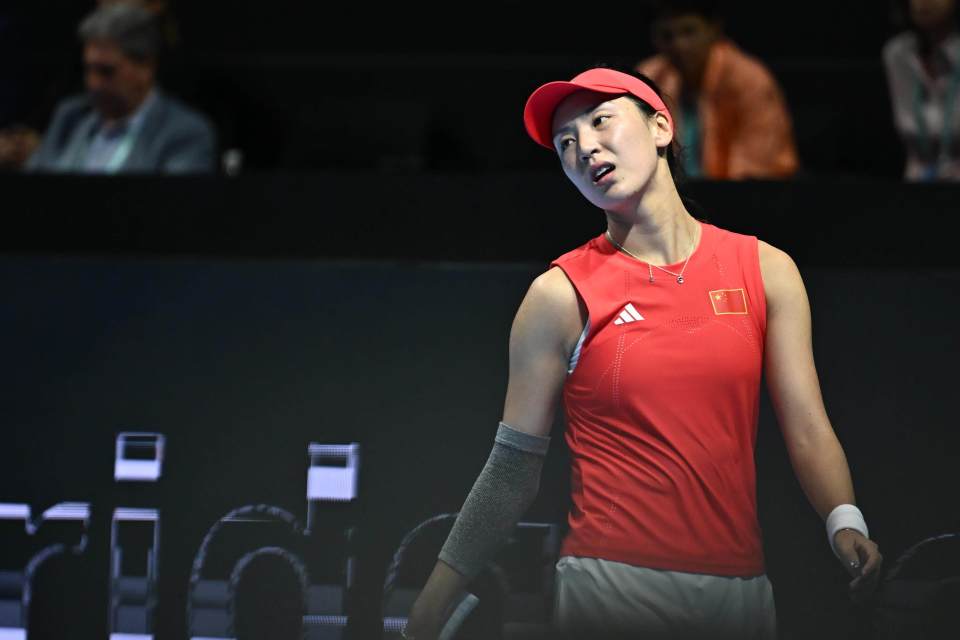 派出鲍里妮, WgpJp, img